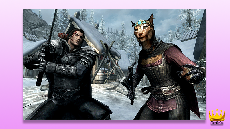 Elder Scrolls V: Skyrim