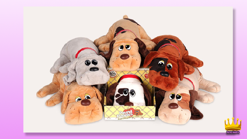 Pound Puppies Best 80's Toys That 80's Kids Totally Get