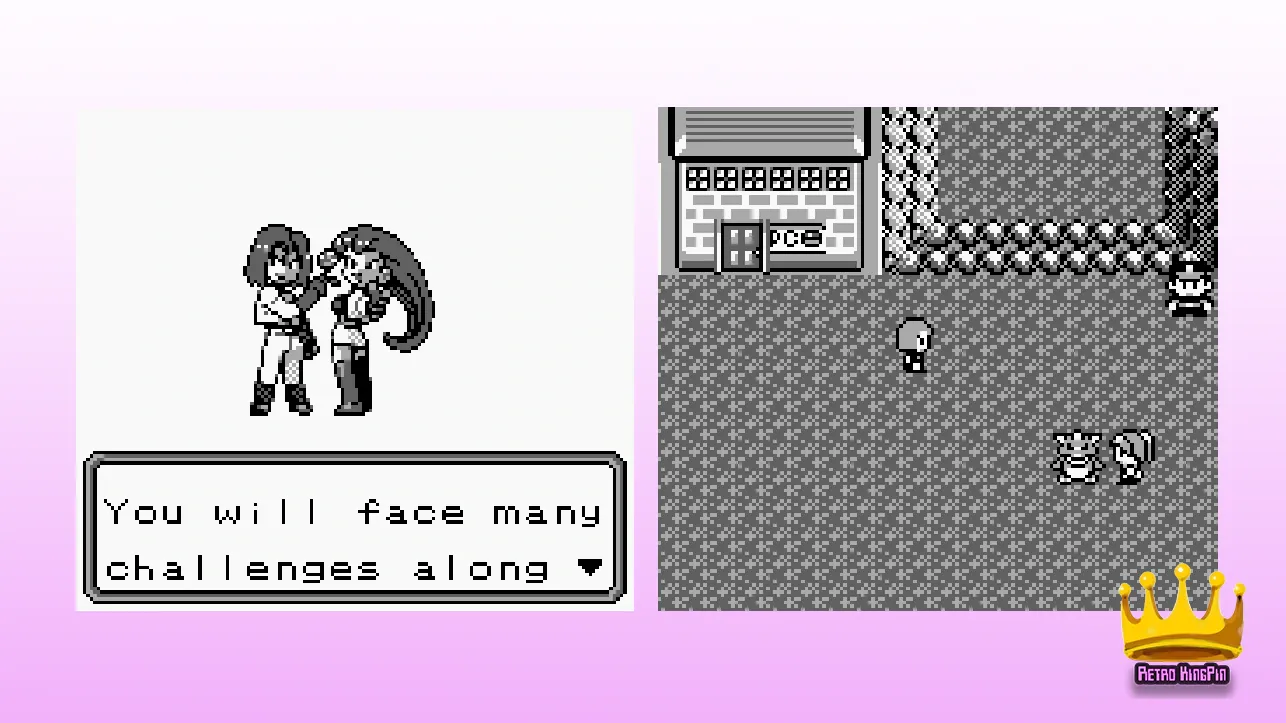 Best GBC Pokemon ROM Hacks Pokemon TRE: Team Rocket Edition