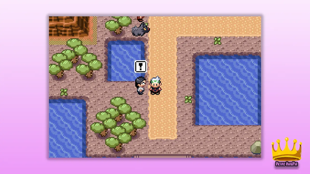 Pokemon Emerald Kaizo Game Information